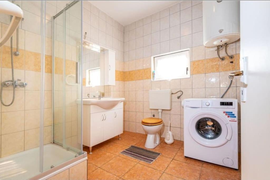 Apartment Irina Policnik
